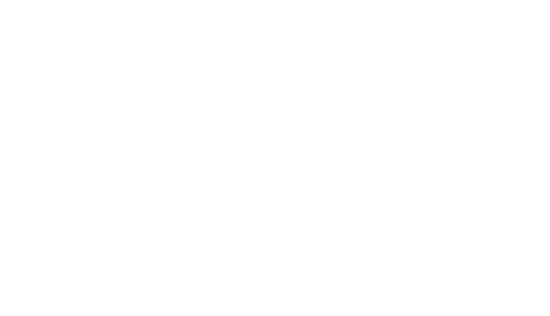 Doggy Joy estética animal